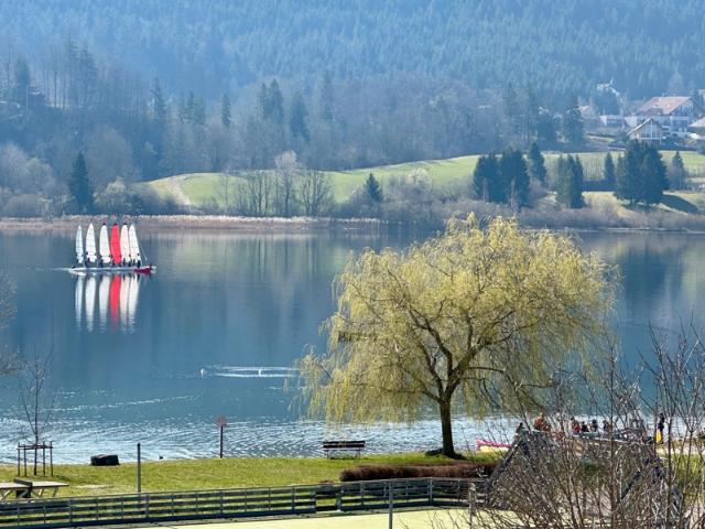 Appartement vente à Pontarlier, Saint-point-lac
