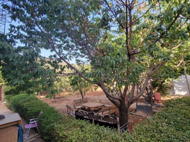 Appartement vente à Imouzzer Des Ida Ou Tanane, Oued ed Dahab-Lagouira
