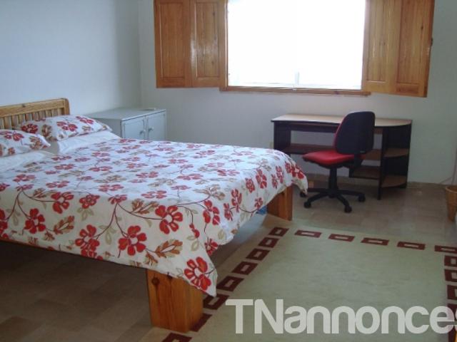 Appartement vente