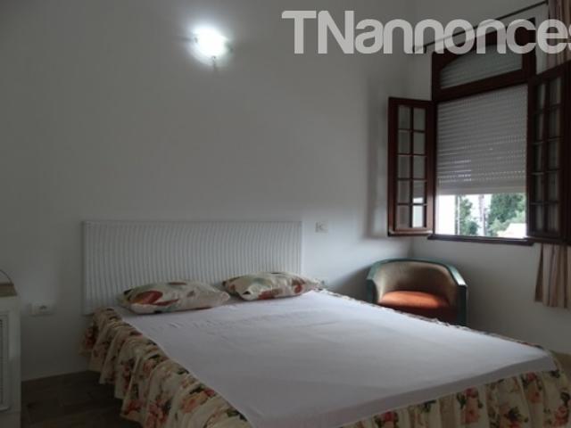 Appartement location
