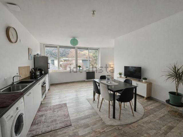 Appartement vente à Seythenex, Faverges-Seythenex