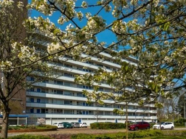Appartement te huur in Alkmaar, De Hoef II