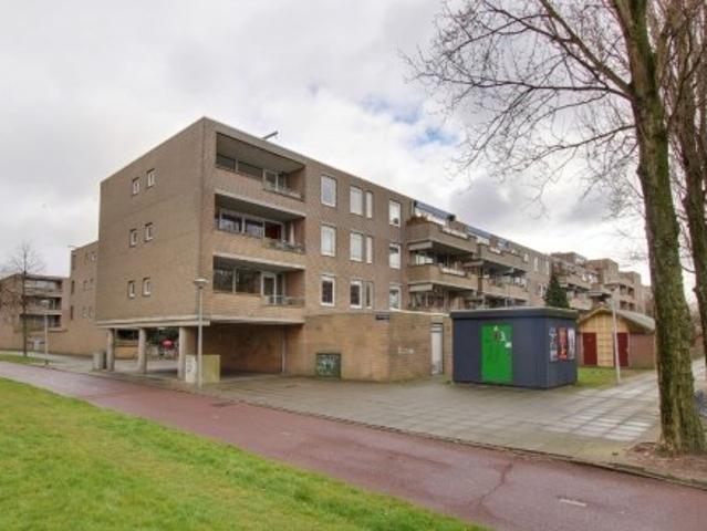 Appartement te huur in Oost, Amsterdam