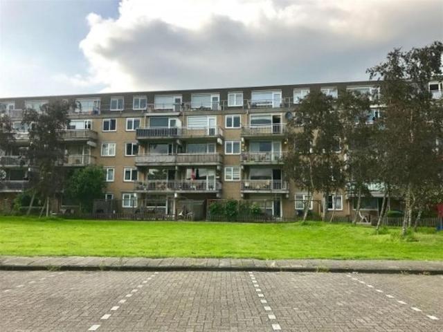 Appartement te huur in Noord, Amsterdam