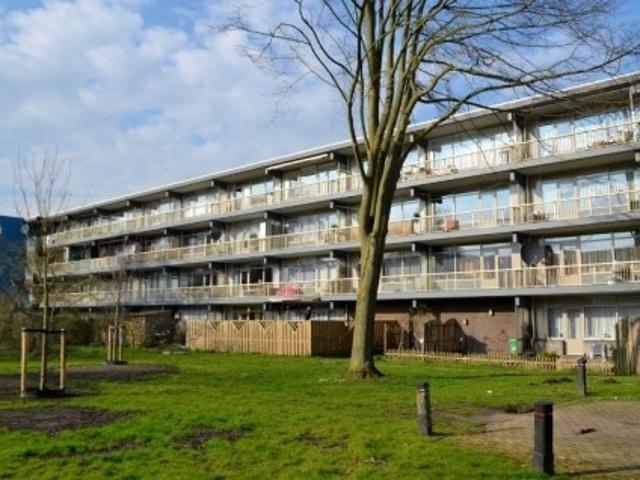 Appartement te huur in Noord, Amsterdam