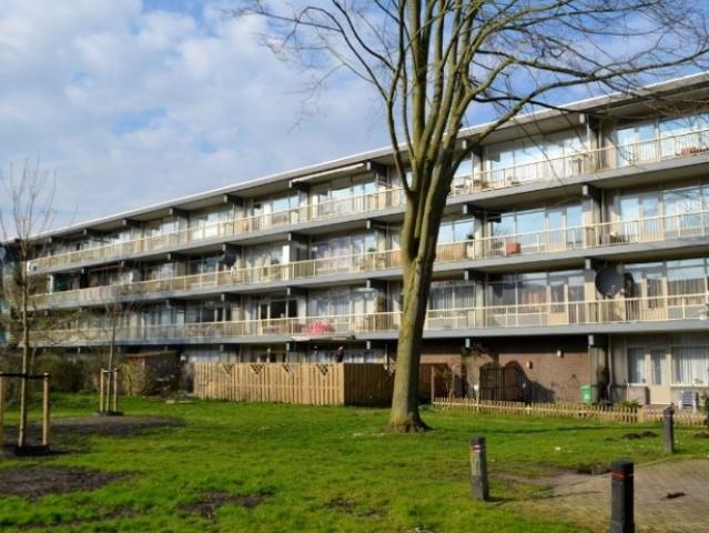 Appartement te huur in Noord, Amsterdam