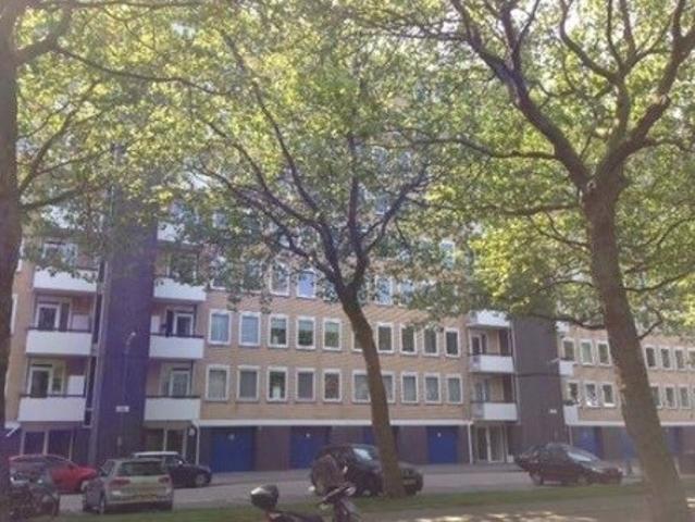 Appartement te huur in Zuid, Amsterdam