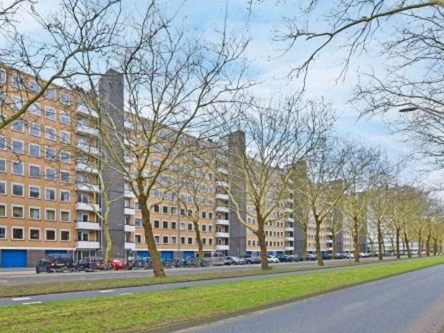 Appartement te huur in Zuid, Amsterdam