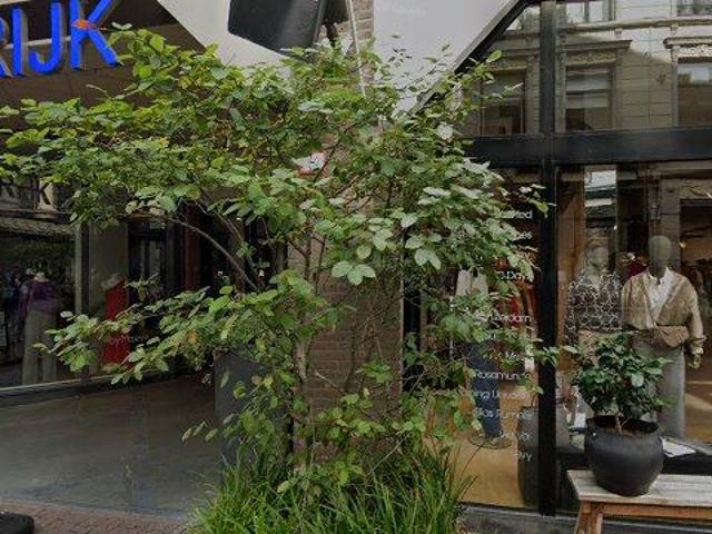 Appartement te huur in Centrum, Arnhem
