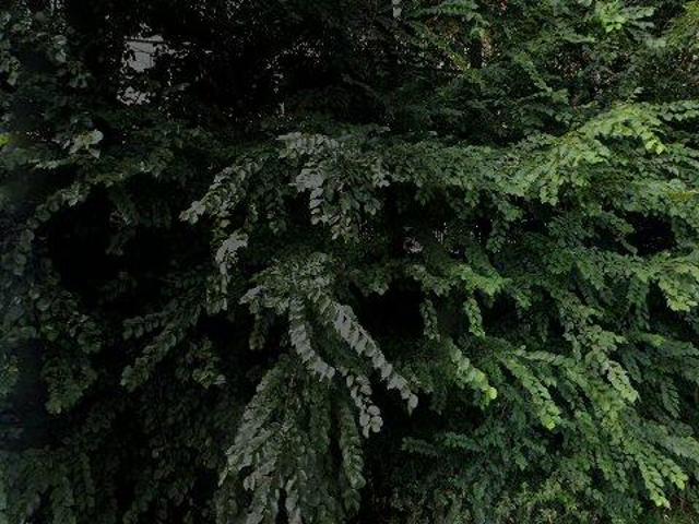 Appartement te huur in Uithoorn, Noord Holland