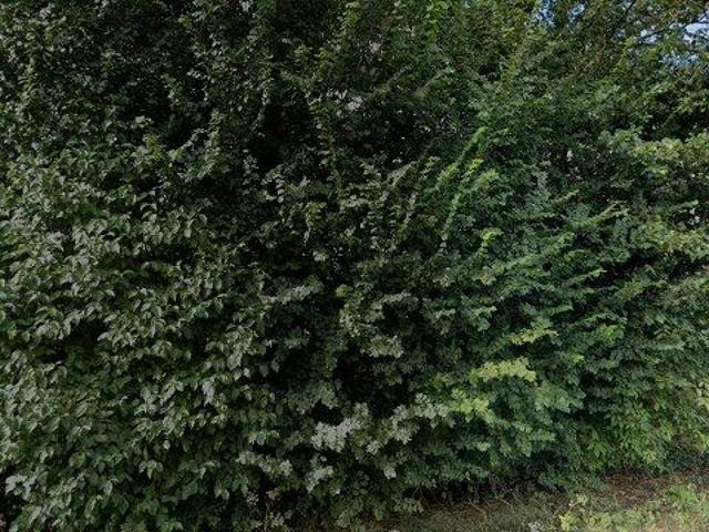 Appartement te huur in Uithoorn, Noord Holland