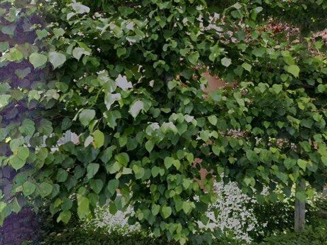 Appartement te huur in Doorn, Utrecht