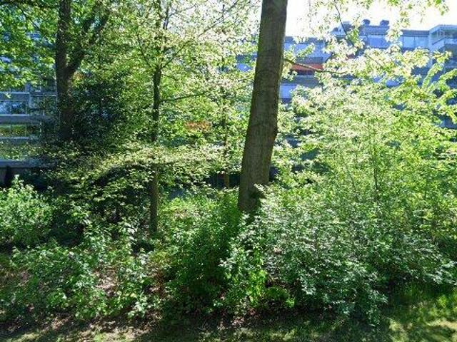 Appartement te huur in Kievitsdel, Doorwerth