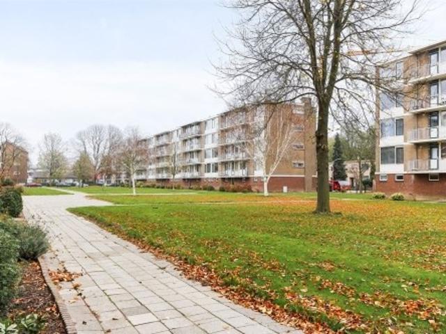 Appartement te huur in Crabbehof, Dordrecht