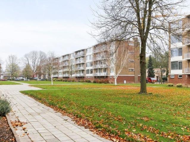 Appartement te huur in Crabbehof, Dordrecht