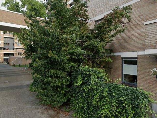 Appartement te huur in Rivierenbuurt, Groningen