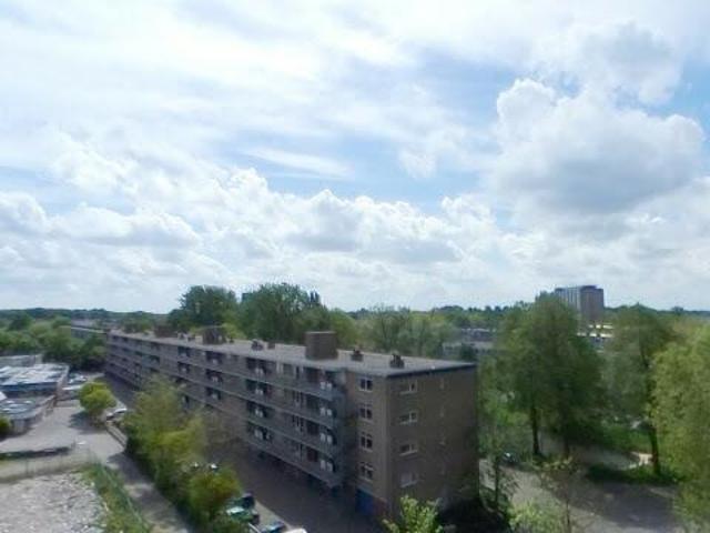 Appartement te huur in De Wijert, Groningen