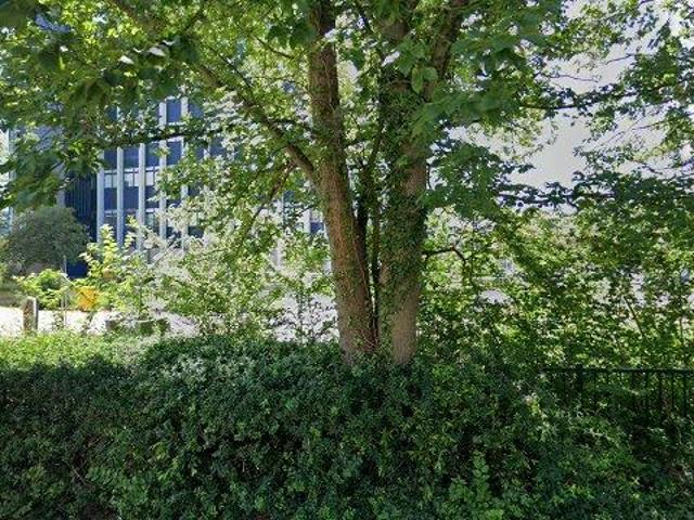 Appartement te huur in Haarlem