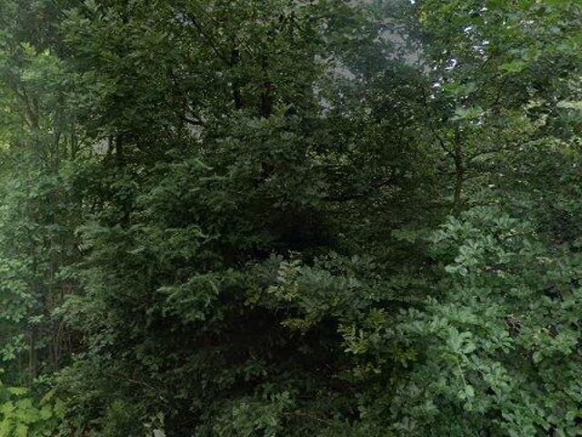 Appartement te huur in Harderwijk, Gelderland