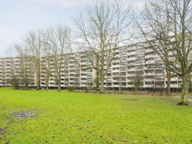 Appartement te huur in De Mors, Leiden