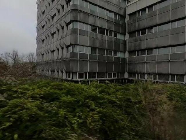 Appartement te huur in De Mors, Leiden
