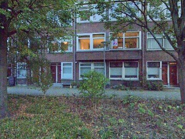 Appartement te huur in Noord, Rotterdam