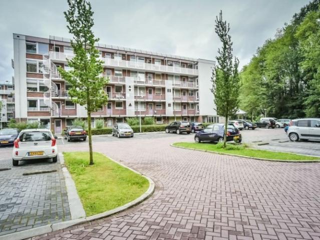 Appartement te huur in Kogerveld, Zaandam