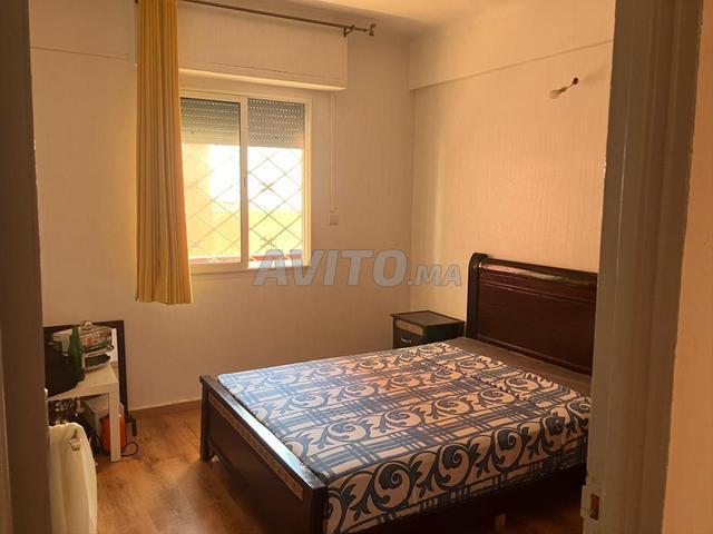Appartement location