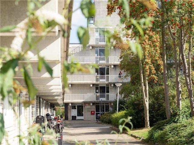 Appartement te huur in Lelystad, Flevoland