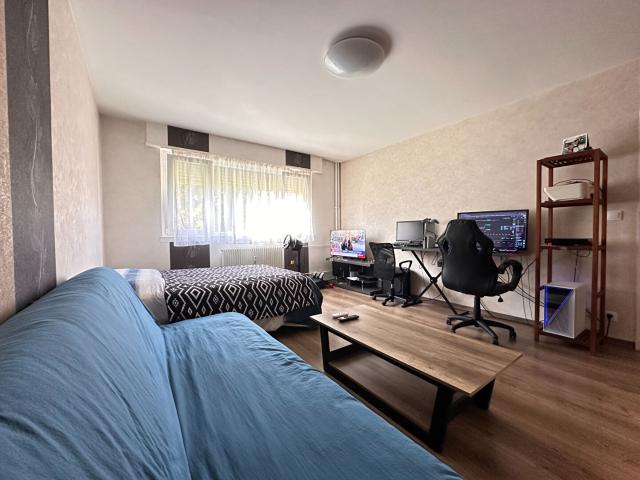 Appartement vente à Thann-Guebwiller, Guebwiller