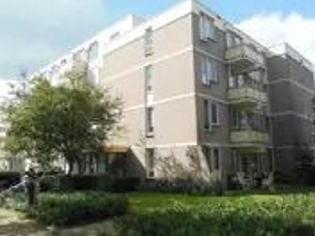 Appartement te huur in Oud-Stein, Stein