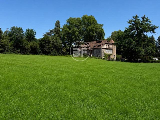 Appartement vente à Heidwiller, Collectivité européenne d'Alsace