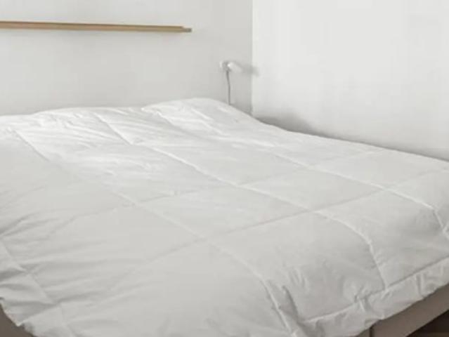 Appartement te huur in Plantage, Amsterdam