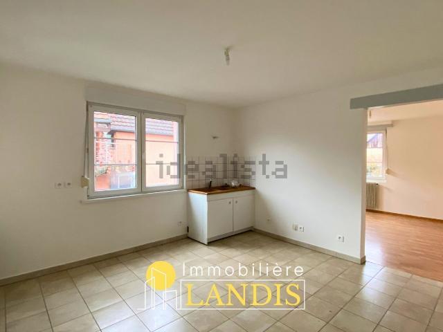 Appartement location à Hilsenheim, Collectivité européenne d'Alsace