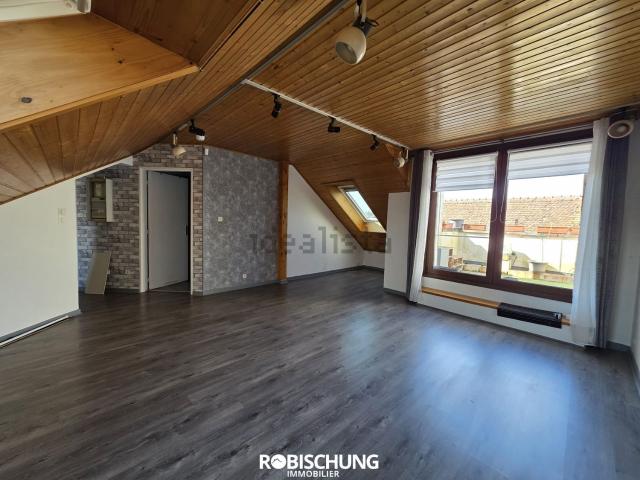 Appartement vente à Hirsingue, Collectivité européenne d'Alsace
