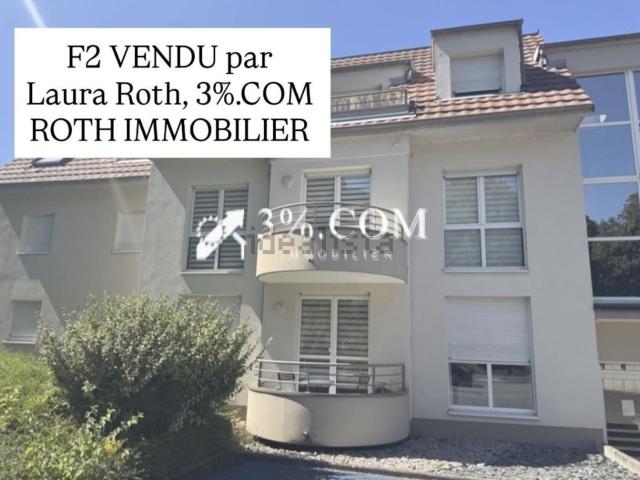 Appartement vente à Hochfelden