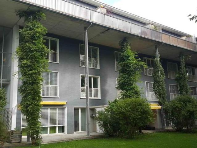 Apartment mieten in Elgg, Zürich