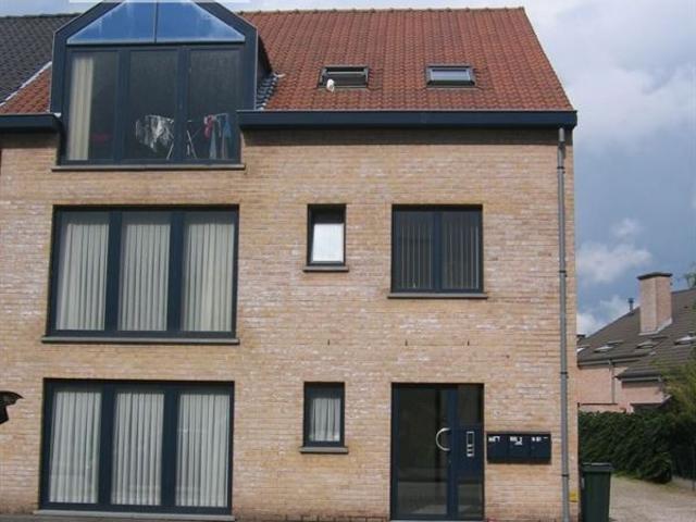 Maison location à Audenarde, Oost-Vlaanderen
