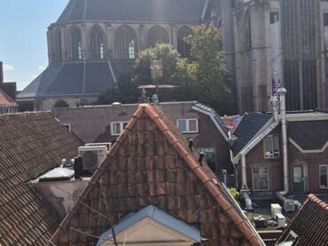 Appartement te huur in Noord Holland