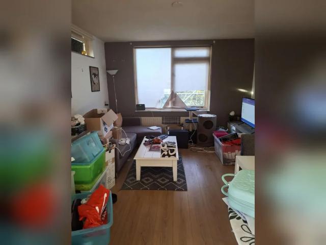 Appartement te huur in Ammerstol, Zuid Holland
