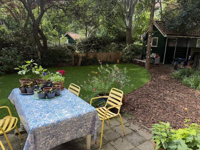 Appartement te huur in Olland, Noord Holland