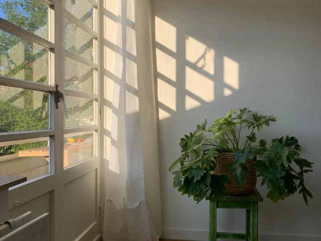 Appartement te huur in Olland, Noord Holland