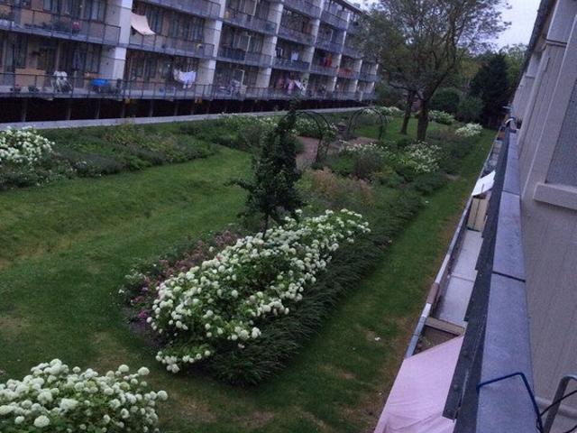 Appartement te huur in West, Amsterdam