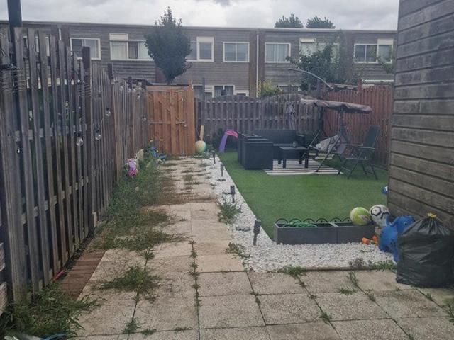 Appartement te huur in Noord Holland