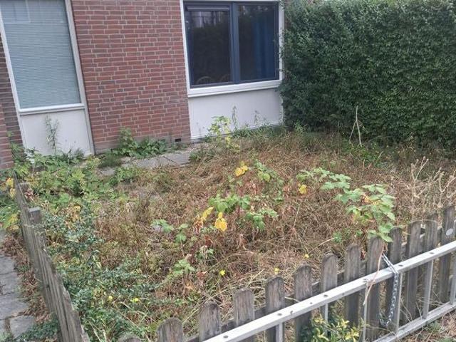 Appartement te huur in Noord Holland