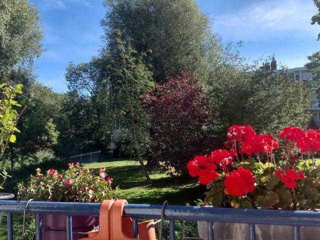 Appartement te huur in Olland, Noord Holland
