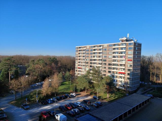 Appartement te huur in Arnhem, Gelderland