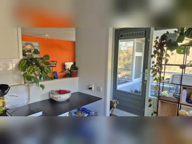 Appartement te huur in Arnhem, Gelderland