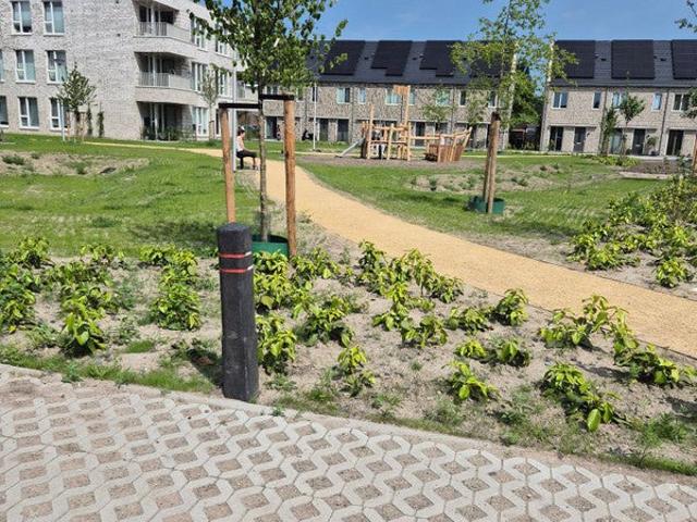 Appartement te huur in Emmeloord, Flevoland