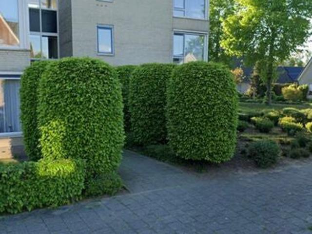 Appartement te huur in Bemmel, Lingewaard